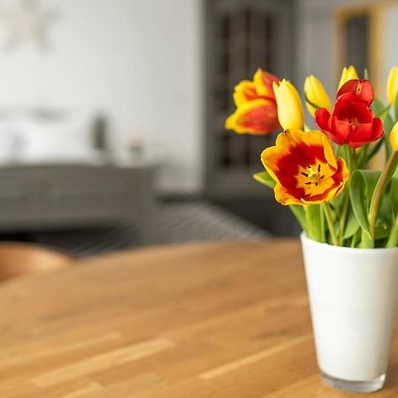 Spacious Ultracentral Apartment Клуж-Напока Экстерьер фото